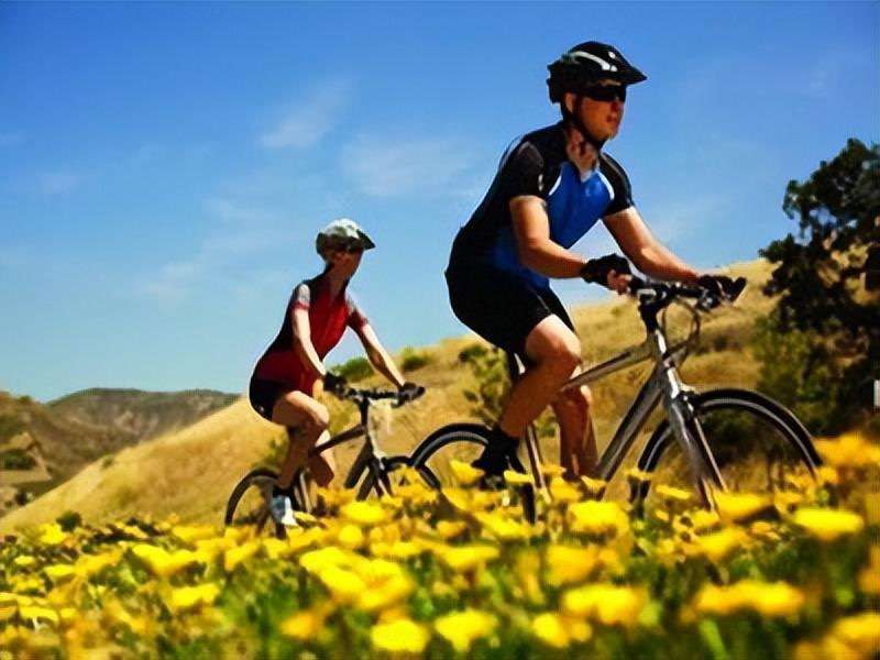 騎行過程中所需要注意的姿勢與好處有哪些？